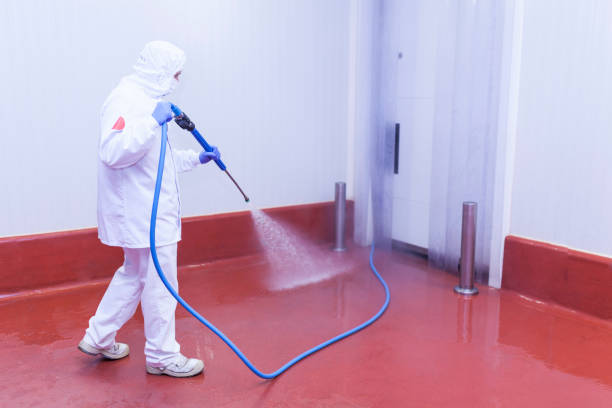 Best Solar Panel Cleaning  in Dix Hills, NY